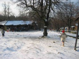 Silvestr 2006